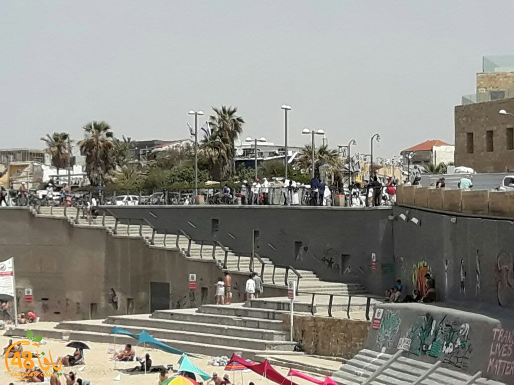 yaffa seya7a (11).jpg